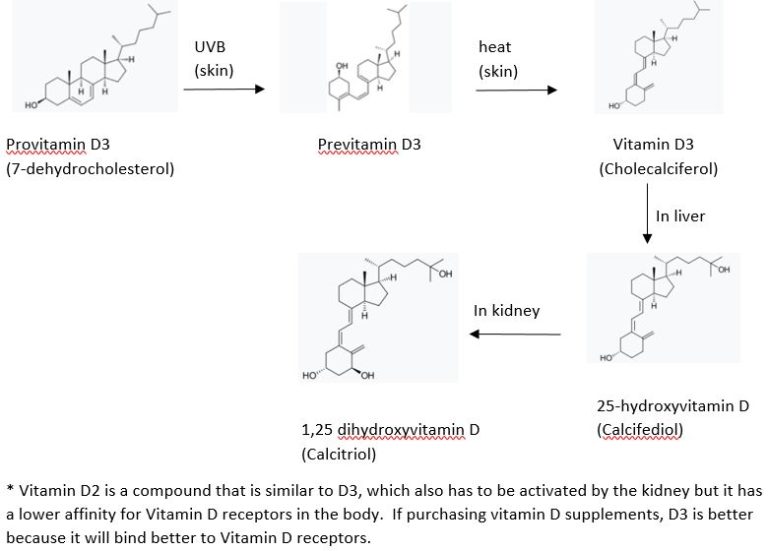 How much vitamin D do we need? - Dr Wendi Health