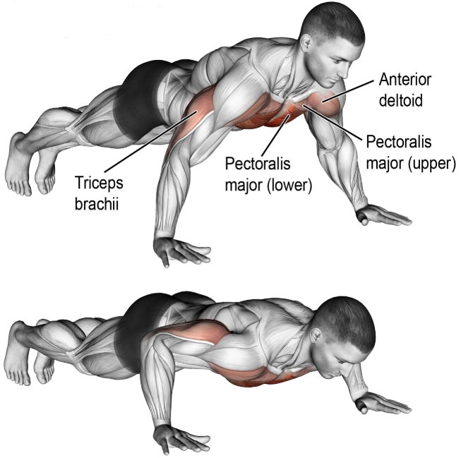 Push Over Exercise Bodyweight Exercises you can do at Home - Dr Wendi Health